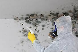 Best Emergency Mold Remediation  in North Granby, CT